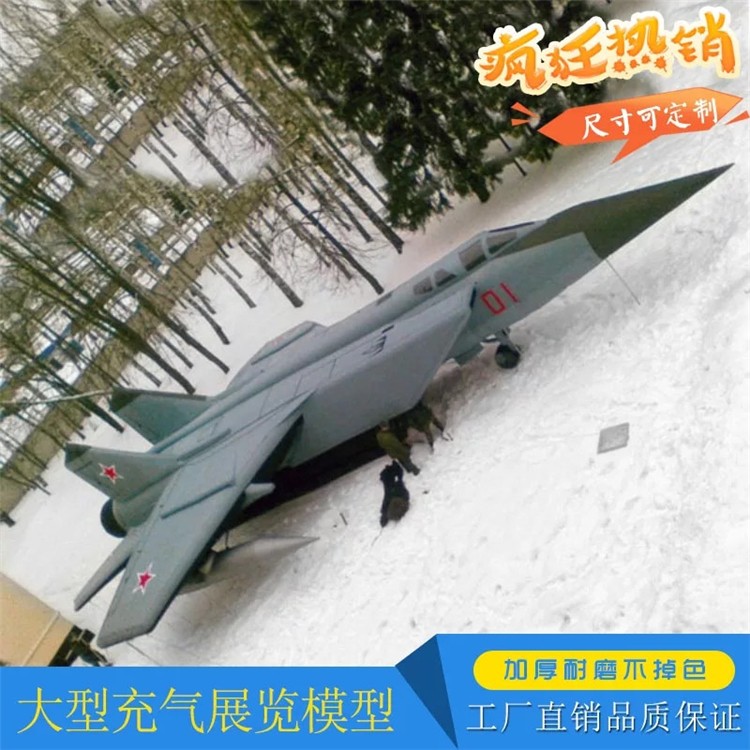 马龙充气飞机气模厂家